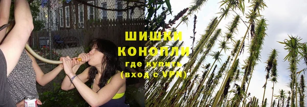 молекула духа Балабаново