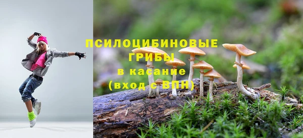молекула духа Балабаново